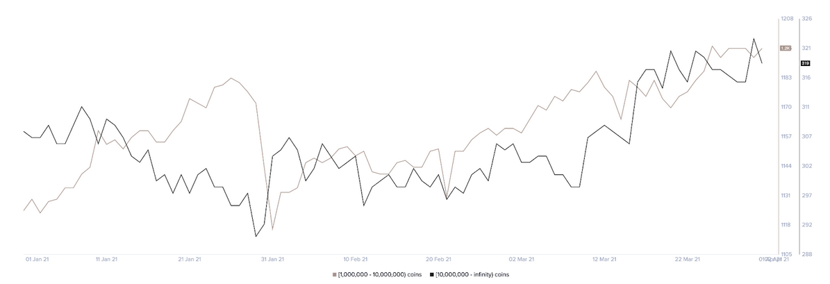 You are currently viewing Ripple reports strong XRP whale accumulation despite ongoing SEC lawsuit