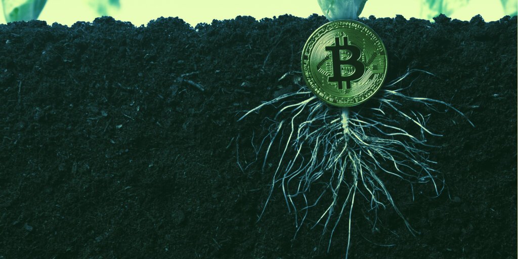 What Is Taproot, the Proposed Bitcoin Upgrade?