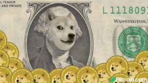 Read more about the article Who Owns the Mystery Dogecoin Whale Address? Robinhood’s CEO Dismisses Speculation