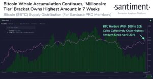 Read more about the article Bitcoin Buying Spree: Whales Purchased 90,000 BTC in 25 Days