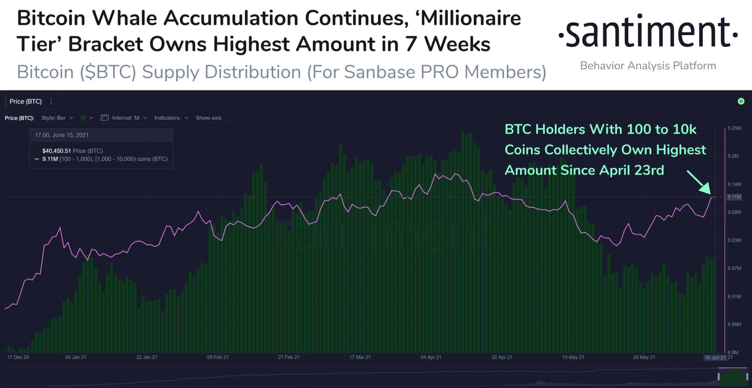 Bitcoin Buying Spree: Whales Purchased 90,000 BTC in 25 Days