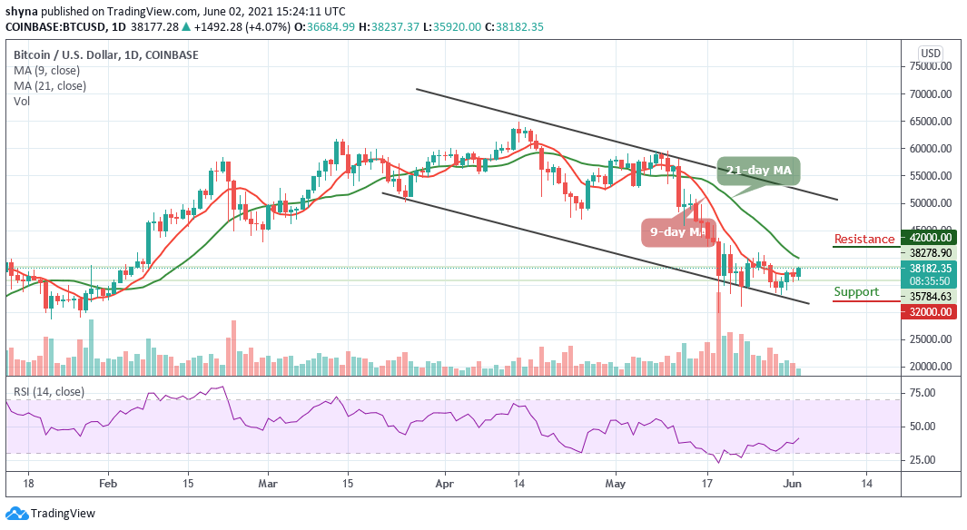 Read more about the article Bitcoin Price Prediction: BTC/USD Ready to Break $40,000