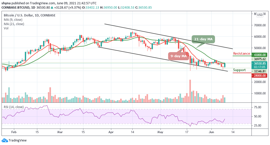 You are currently viewing Bitcoin Price Prediction: BTC/USD Price Stables Above $36,500