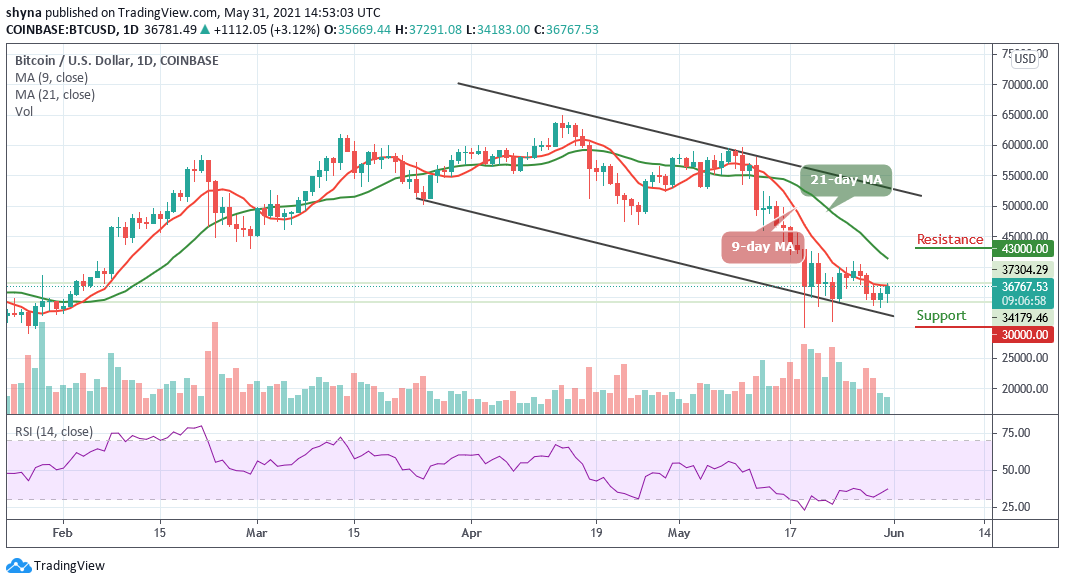 You are currently viewing Bitcoin Price Prediction: BTC/USD Could Hit $45,000 or Crash to $25,000