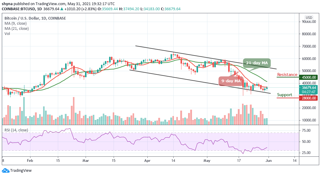 Bitcoin Price Prediction: Is BTC/USD Ready for ,000 Resistance?