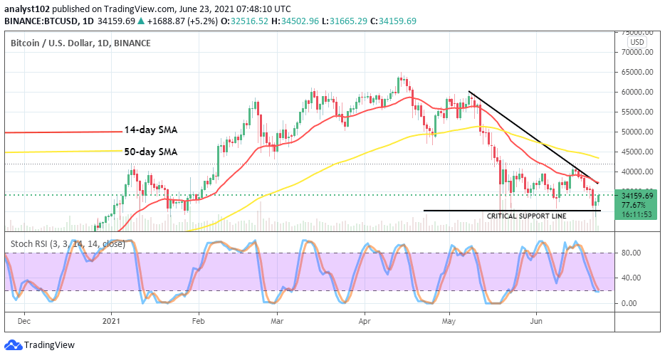 You are currently viewing Bitcoin (BTC/USD) Rebounds at Critical Support Line