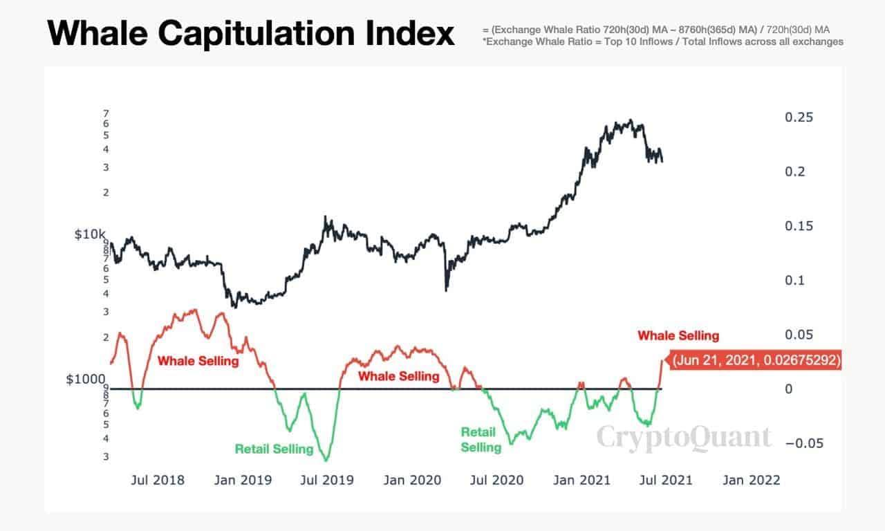 You are currently viewing Bitcoin Bear Market Fears Sparked by Institutional Outflows and Whale Capitulation