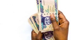 Read more about the article After Central Bank Devalues Naira by 5% Finance Minister Attributes Drop to ‘Market Forces’