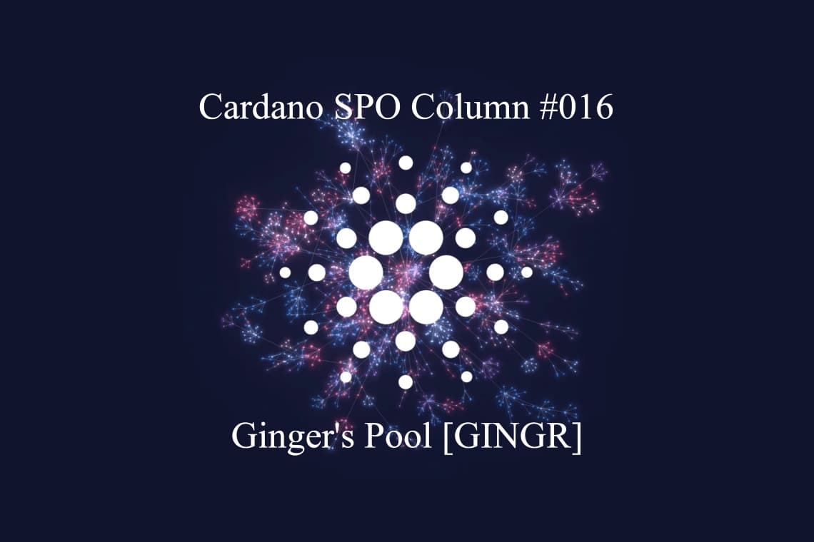 You are currently viewing Cardano SPO Column: Ginger’s Pool [GINGR]