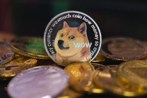 Elon Musk (Tesla) talks about Dogecoin: here’s the market reaction