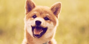 What Is Baby Doge and Why Is Elon Musk Pumping the Dogecoin Knockoff?