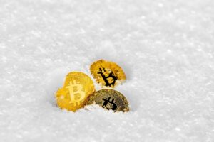 Read more about the article Gemini, Winklevoss: “There may never be another crypto winter”