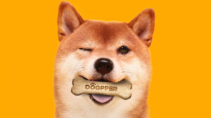 Read more about the article Brazilian Burger King Customers Can Now Purchase Meat-Flavored Dog Biscuits With Dogecoin