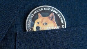 Read more about the article Dogecoin’s Downward Slide: 2-Month Stats Show Meme-Based Crypto Is Down 76%