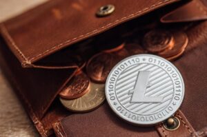 Read more about the article Litecoin, Dogecoin: price analysis of LTC and DOGE