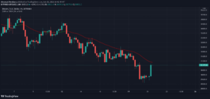 Bitcoin pumps ,000, large-caps Cardano, Ethereum follow lead