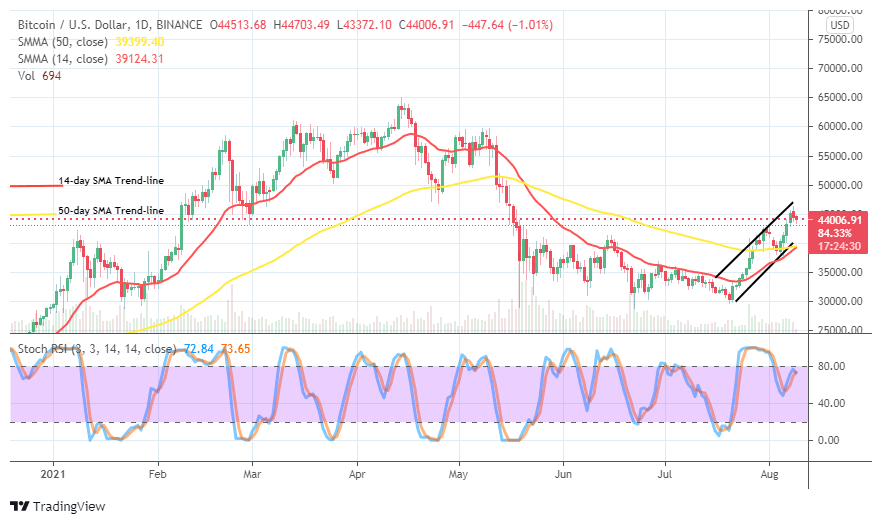 You are currently viewing Bitcoin (BTC/USD) Market Attempts Valuation Downsizing