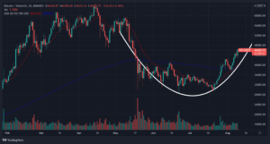 Read more about the article Bitcoin Dipped and Recovered: The U.S. Infraestructure Bill Drama Was Just a Bump For The BTC Price