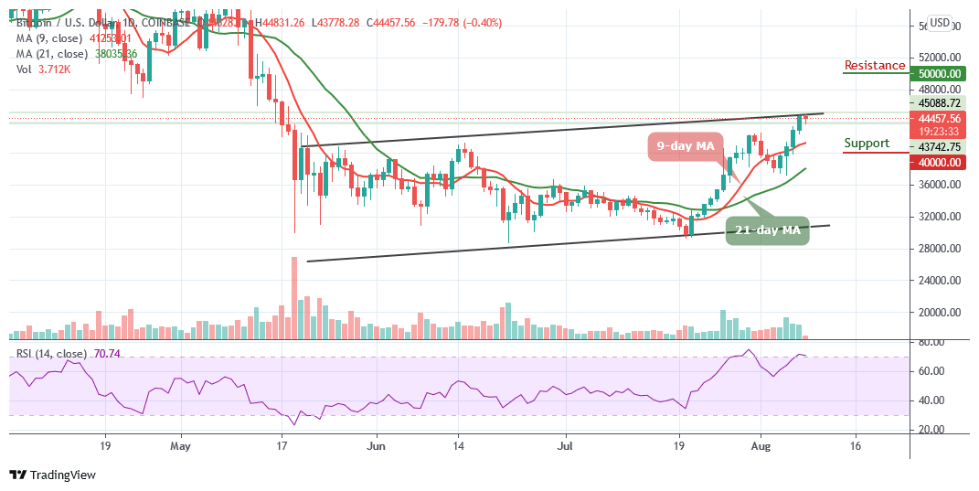 You are currently viewing Bitcoin Price Prediction: BTC/USD Stays Above $44,000