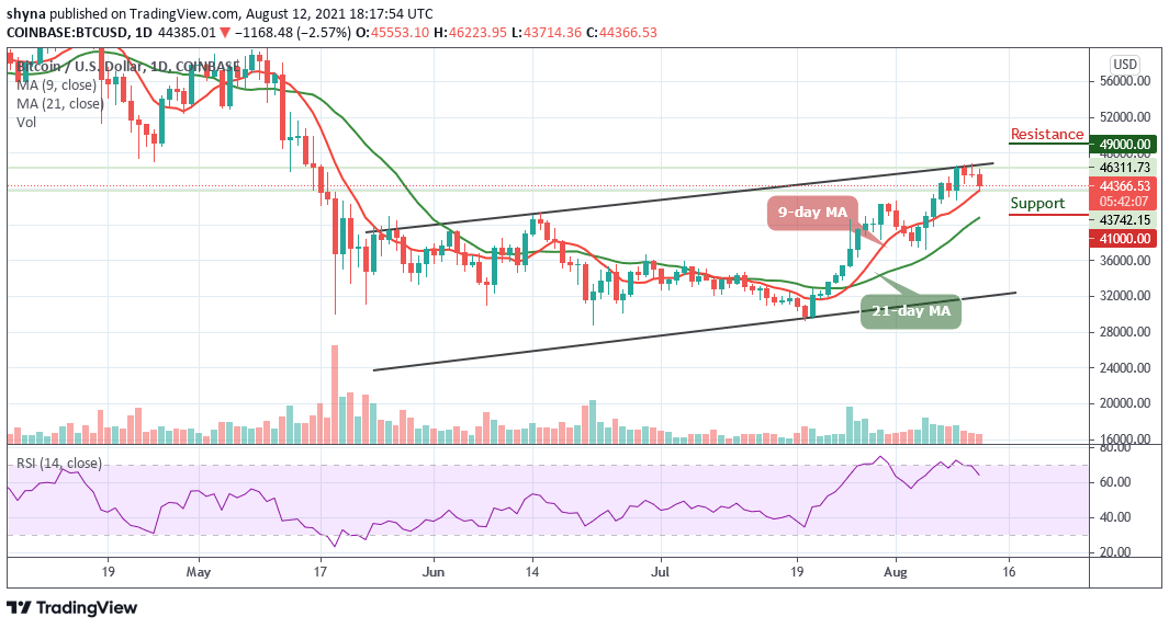 You are currently viewing Bitcoin Price Prediction: BTC/USD Correcting Price to $44,500