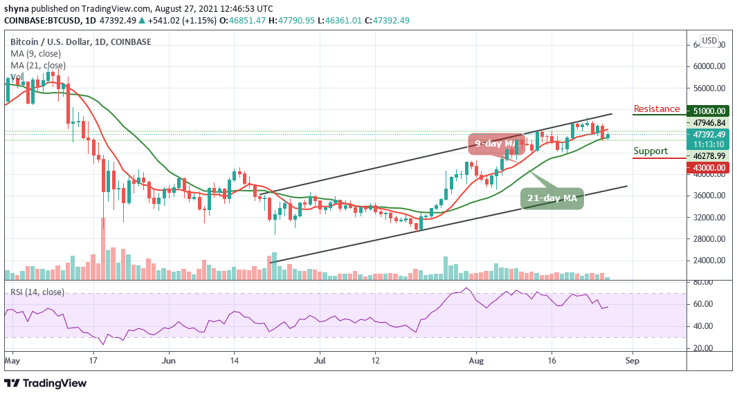 You are currently viewing Bitcoin Price Prediction: BTC/USD Climbs Past $47,000