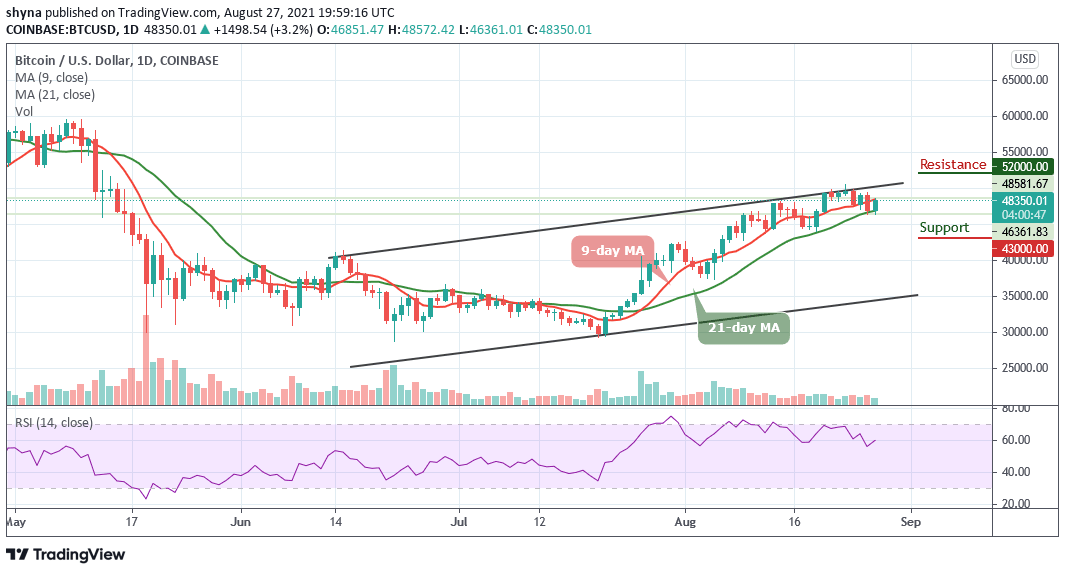 You are currently viewing Bitcoin Price Prediction: BTC/USD Rally Towards $50,000 Resistance