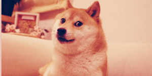 Read more about the article Dogecoin Rising Faster Than the Market, Price Up 41% in a Week