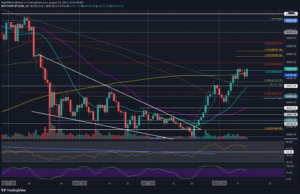 Read more about the article Crypto Price Analysis & Overview August 13th: Bitcoin, Ethereum, Ripple, Cardano, & Binance Coin.