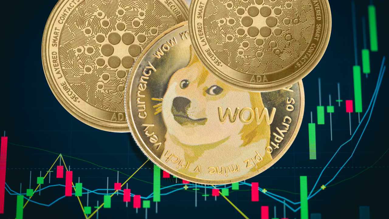 You are currently viewing Dogecoin Millionaire Says He’s Going ‘All in’ on Cardano — Bullish on Both DOGE and ADA