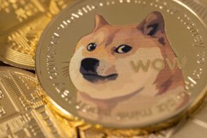 Read more about the article Dogecoin and PAWS Chicago: cryptocurrency donations to help animals