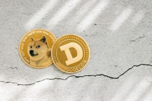 Read more about the article Dogecoin Foundation transforms DOGE with Elon Musk and Vitalik Buterin