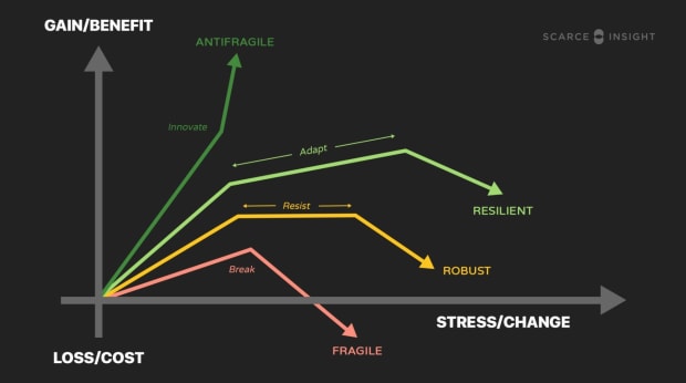 You are currently viewing How Antifragility Increases Bitcoin’s Survivability