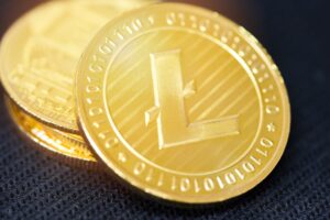 Read more about the article Litecoin and the latest news on Mimblewimble developments