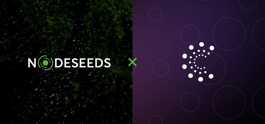 You are currently viewing Nodeseeds Launches Three-Tier Membership to Ensure Transparency and Fair Allocation of Projects