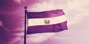 Salvadorans Protest President Bukele’s Bitcoin Project