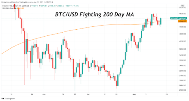 You are currently viewing This Market Trend Shows The Bitcoin Price Is Ready For Next Leg Up