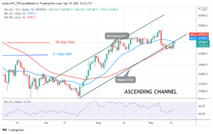 Read more about the article Bitcoin (BTC) Price Prediction: BTC/USD Takes a Giant Stride as It Breaks Above $48K