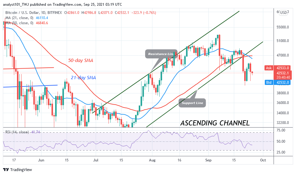 Bitcoin (BTC) Price Prediction: BTC/USD Holds above k as Market Forces Reach Equilibrium