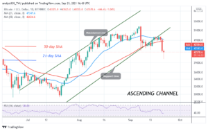 Read more about the article Bitcoin (BTC) Price Prediction: BTC/USD Loses $42k Support as It Risks Further Downsides