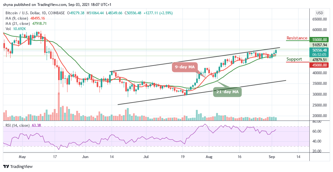 You are currently viewing Bitcoin Price Prediction: BTC/USD Signals Fresh Increase Above $51,000