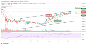 Read more about the article Bitcoin Price Prediction: BTC/USD Price Hovers at $51,561 Level