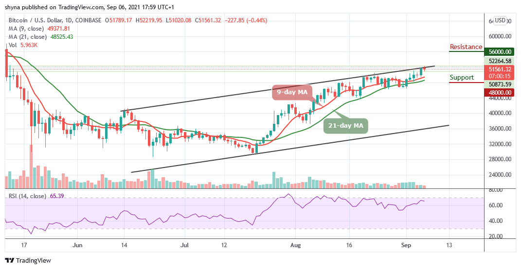 You are currently viewing Bitcoin Price Prediction: BTC/USD Price Hovers at $51,561 Level