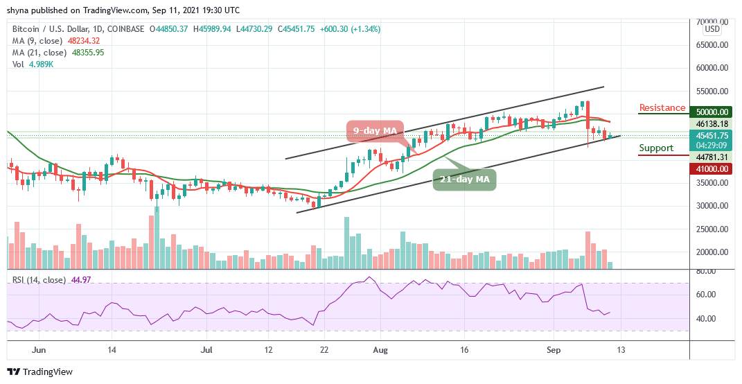 You are currently viewing Bitcoin Price Prediction: BTC/USD Stabilizes Above $45,000