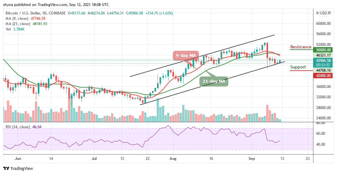 You are currently viewing Bitcoin Price Prediction: BTC/USD Moves Past $46,000