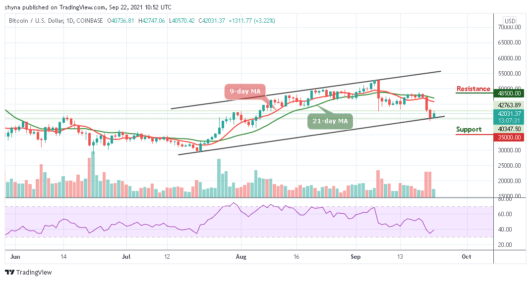 You are currently viewing Bitcoin Price Prediction: BTC/USD Bounces Back Above $40,000