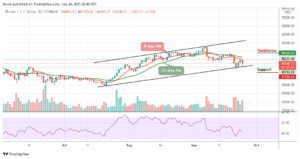 Read more about the article Bitcoin Price Prediction: BTC/USD Erases Gain; Drop Below $45,000