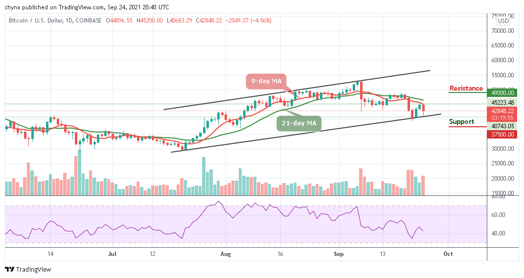 You are currently viewing Bitcoin Price Prediction: BTC/USD Erases Gain; Drop Below $45,000