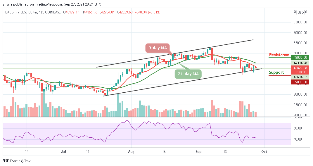 You are currently viewing Bitcoin Price Prediction: BTC/USD Consolidates Below $45,000