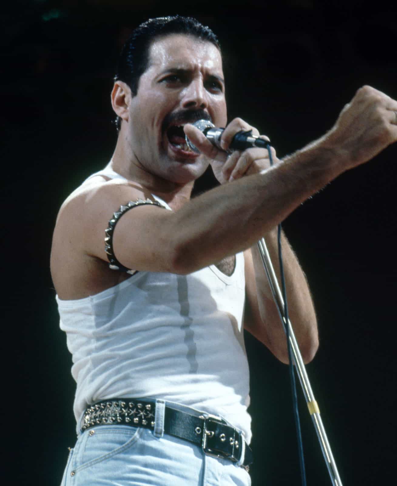 Freddie Mercury NFTs to Raise Funds for an AIDS Charity