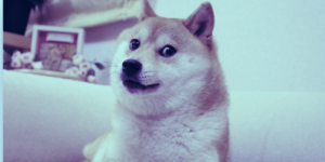 Read more about the article Doge NFT to Be Broken Up Into Billions of Pieces for Investors